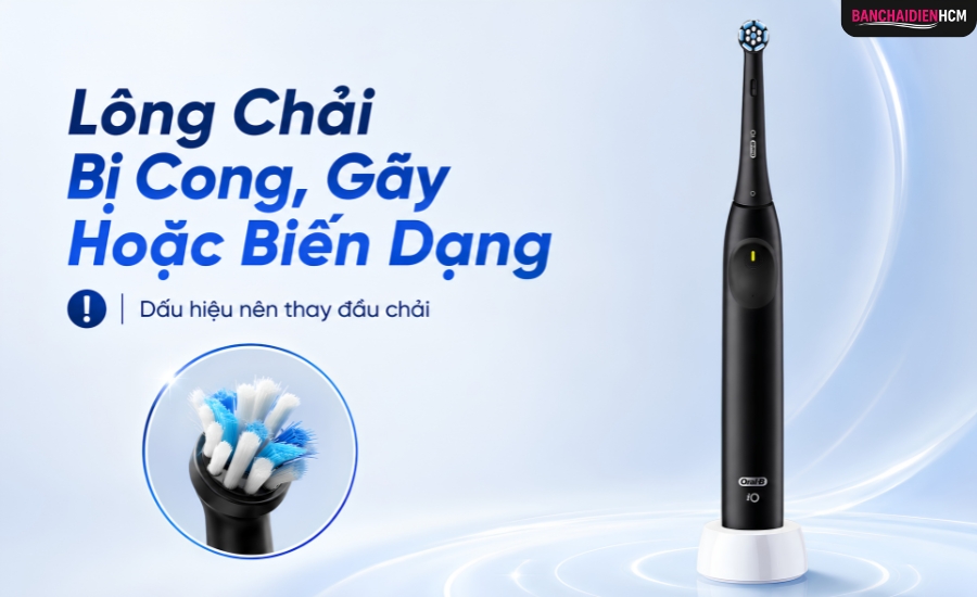 Lông chải cong gập, gãy hoặc rụng cho thấy cấu trúc đầu bàn chải đã bị ảnh hưởng