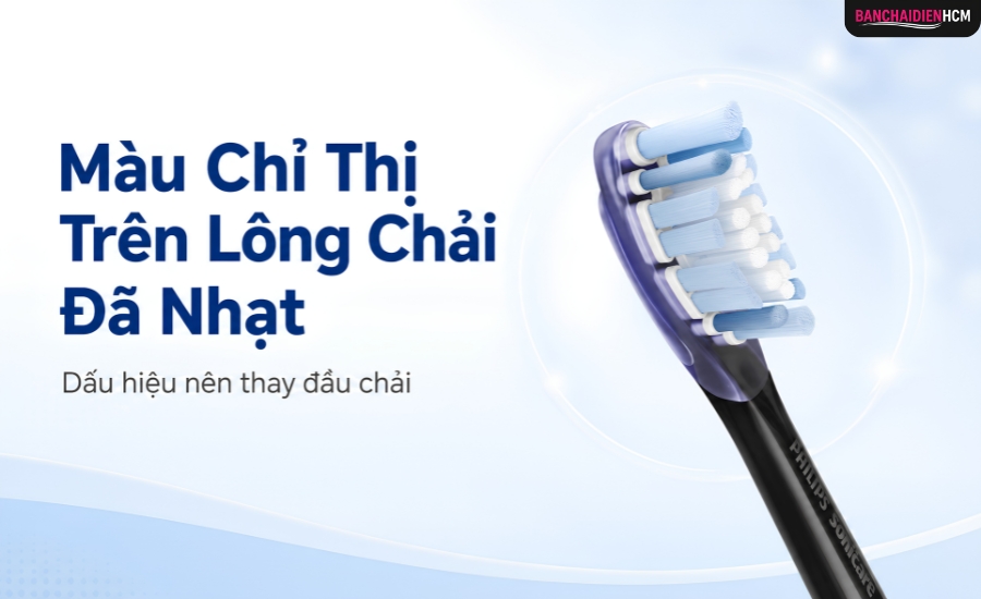 Sau một thời gian sử dụng, màu trên lông chải nhạt dần để nhắc người dùng kiểm tra hoặc thay đầu mới