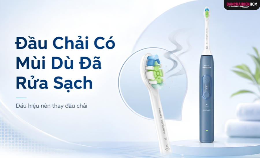 Đầu bàn chải xuất hiện mùi kéo dài có thể liên quan đến cặn kem đánh răng, thức ăn hoặc độ ẩm tích tụ ở chân lông và phần cổ đầu chải